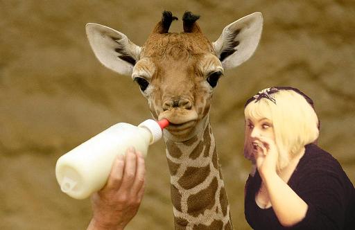Baby Giraffe and I.